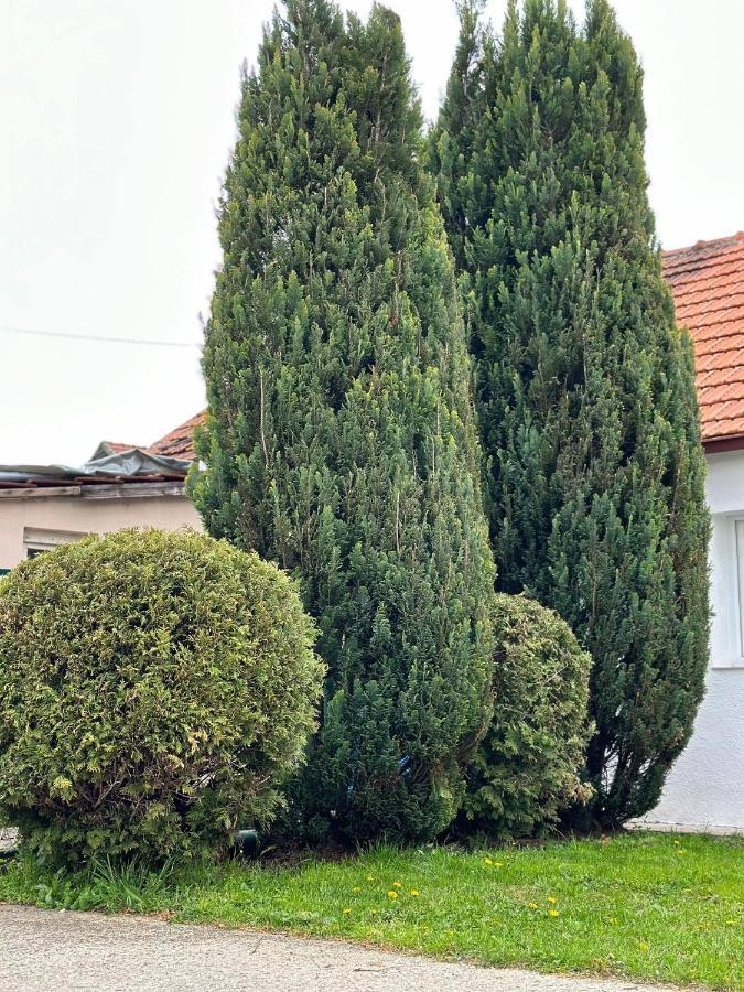 Apartmani Emily & Jully Nikšić المظهر الخارجي الصورة